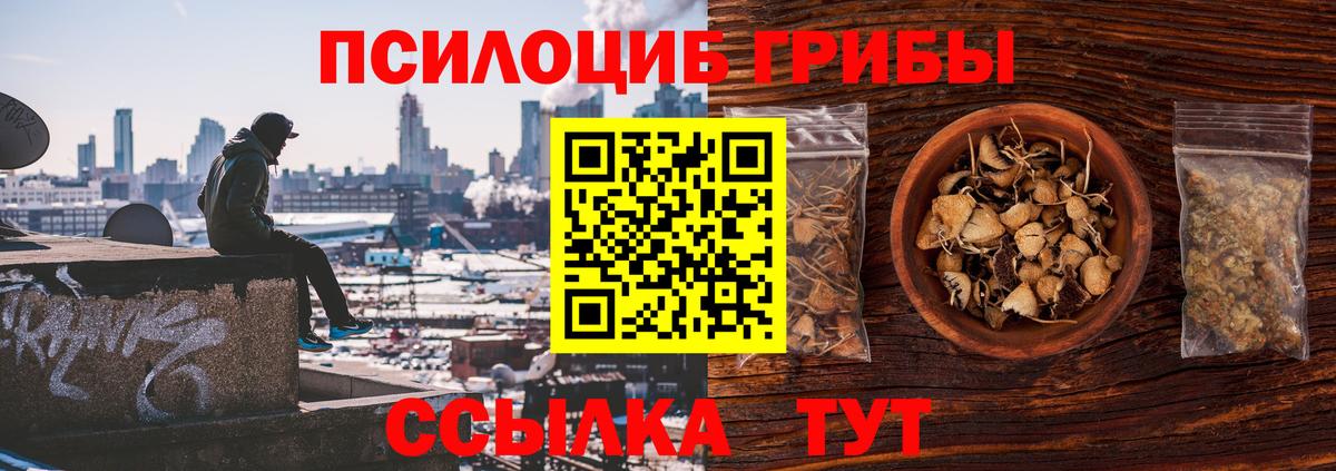Псилоцибиновые грибы MAGIC MUSHROOMS Мценск