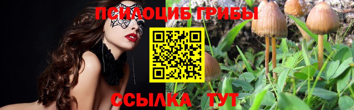 Псилоцибиновые грибы MAGIC MUSHROOMS  Вход с VPN  Мценск 